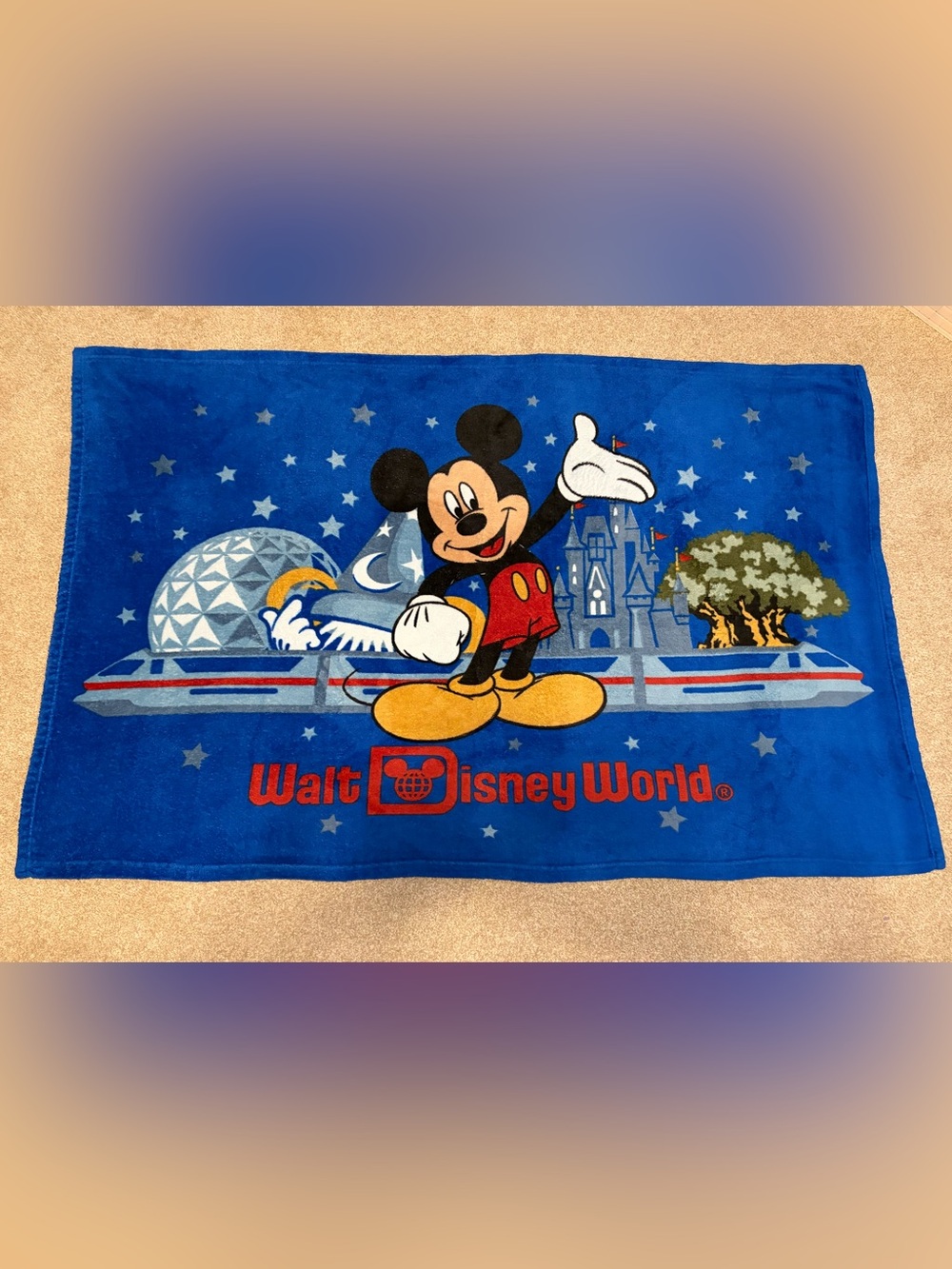Disney Parks Mickey Mouse
Vintage Thro